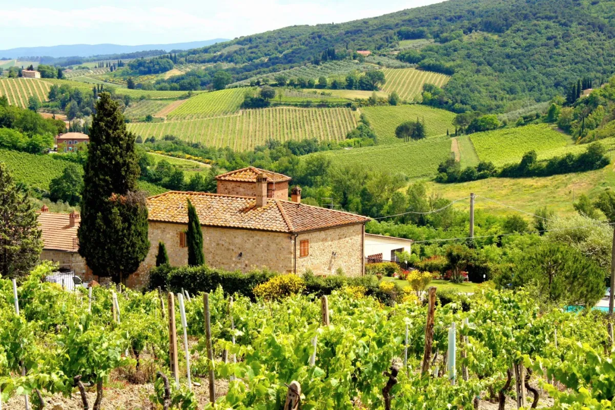 Typisches toskanisches Haus in grüner, hügeliger Landschaft im Sommer