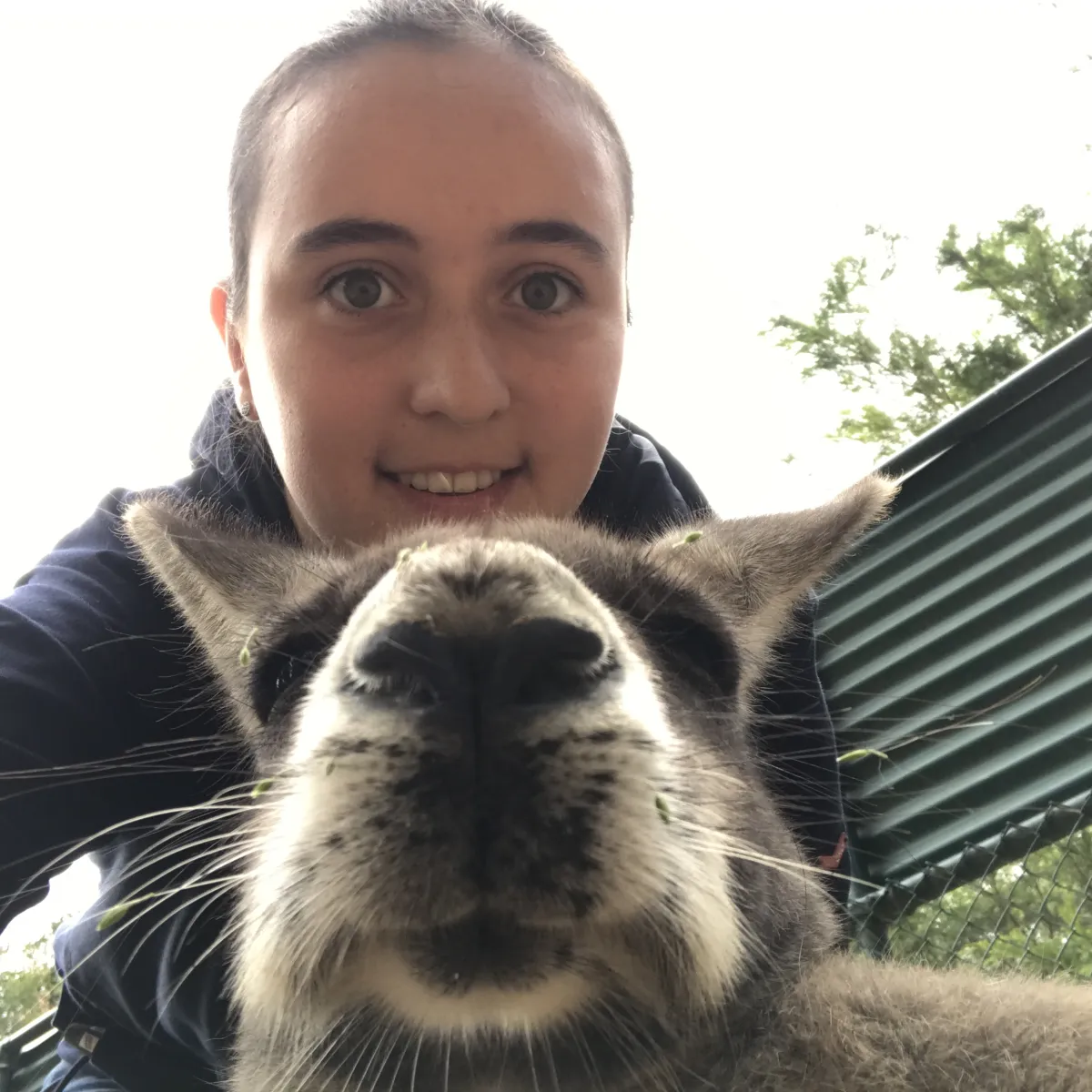 Mädchen macht Selfie mit Känguru