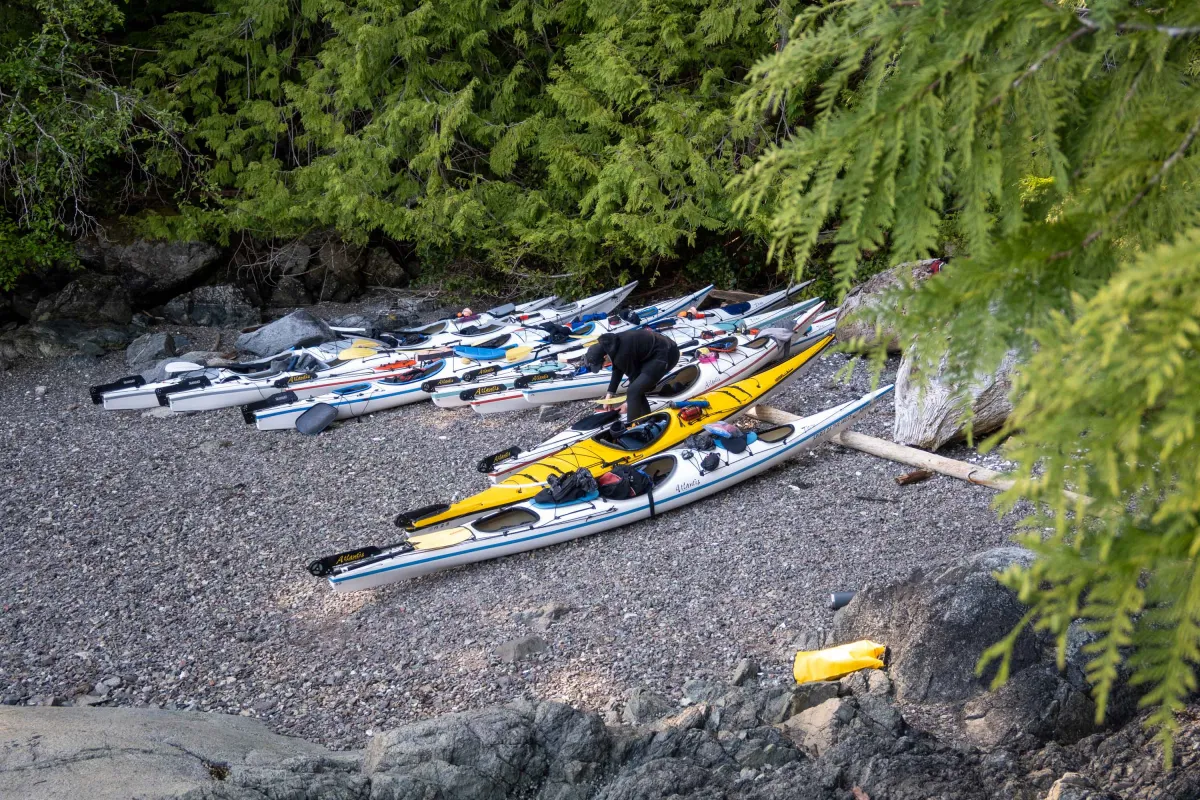 Bunte Sea Kayaks liegen auf Steinstrand am Waldrand