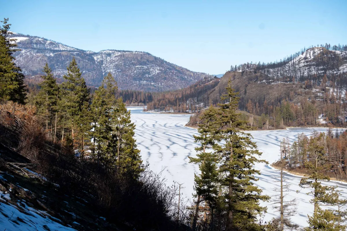 Verschneiter See umringt von Wald aus Vogelperspektive