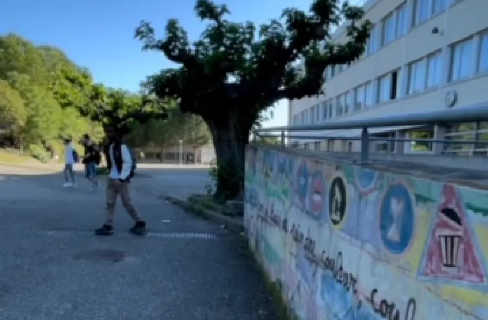 Mauer mit Graffiti auf Schulareal und Baum