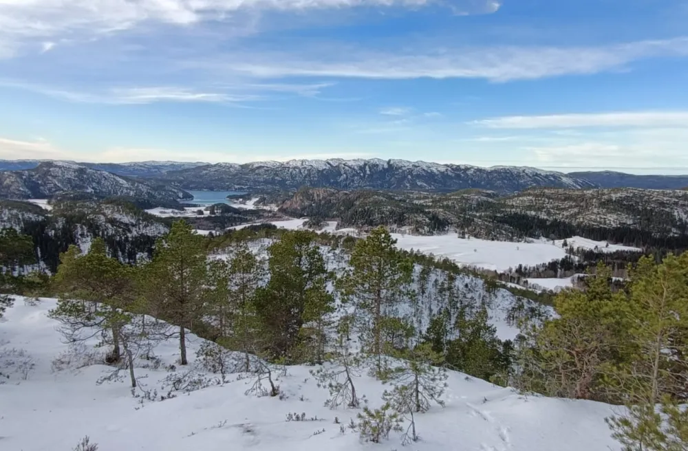 Winterlandschaft auf Hügel mit Sicht auf See
