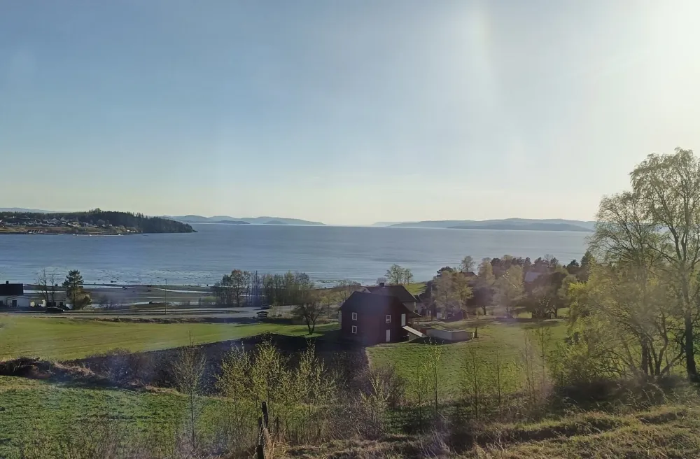 Grüne Wiesen am Meer bei Sonnenschein
