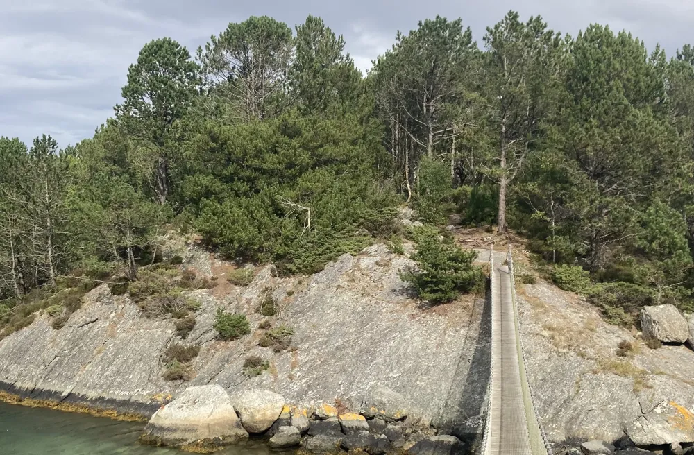 Hängebrücke, Küstenwanderung, Kiefernwald, Felsen, klares Wasser