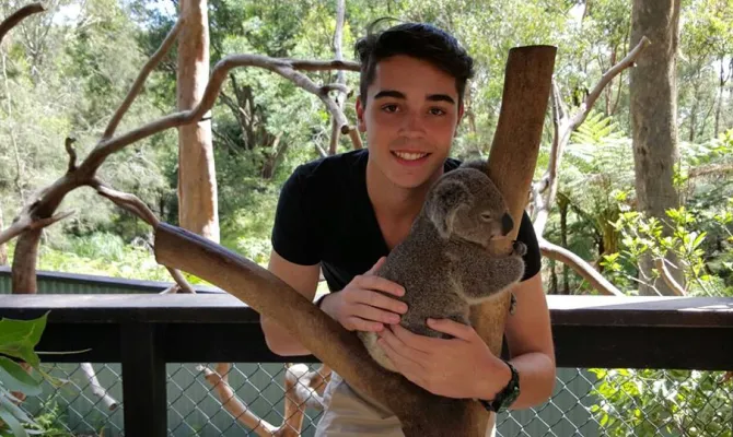 AU 15 16 Austauschüler Koala
