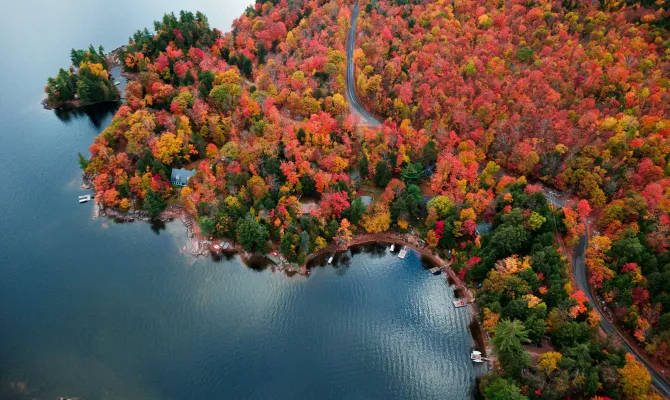 Herbstfarbiger Wald und Seenlandschaft in Ontario Kanada