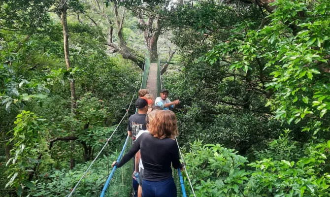 Schülergruppe mit Führer auf Hängebrücke im Dschungel Costa Ricas.