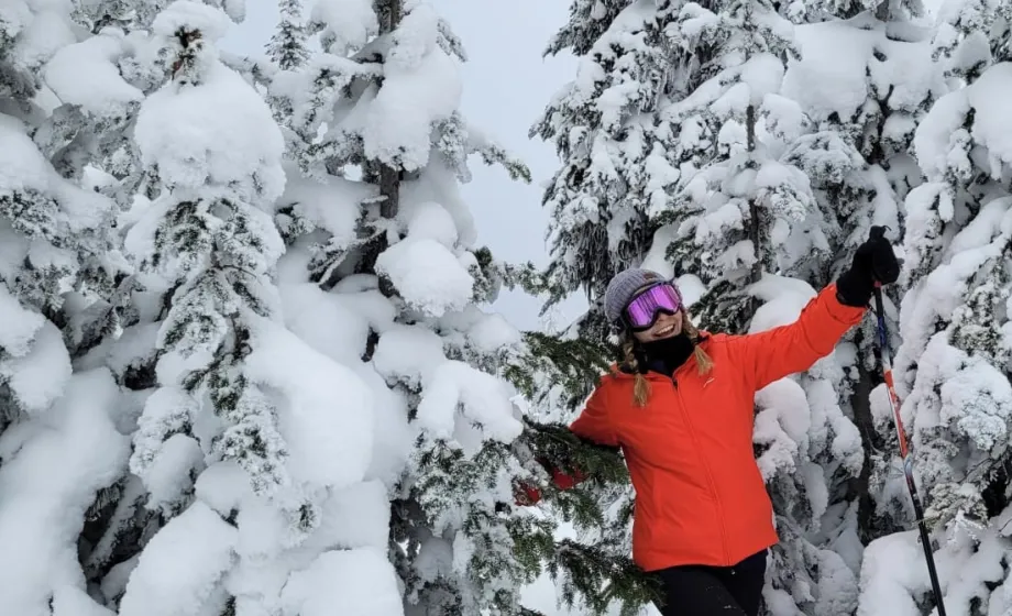 Snow Trees