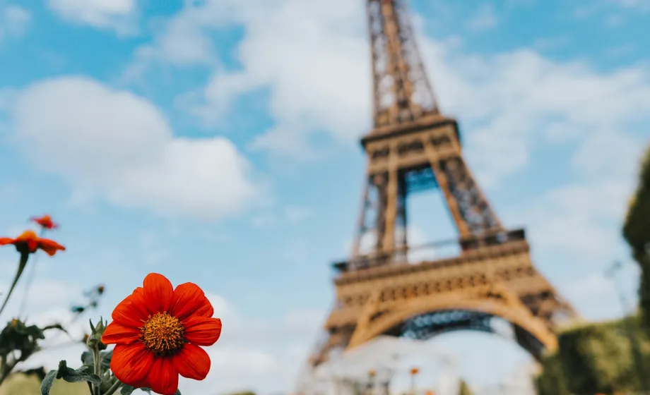Eiffelturm mit roten Blumen im Vordergrund im Sommer