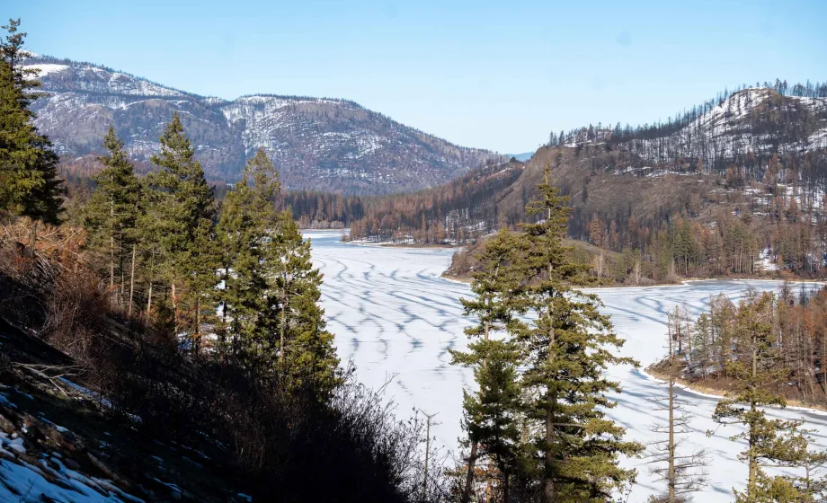 Verschneiter See umringt von Wald aus Vogelperspektive